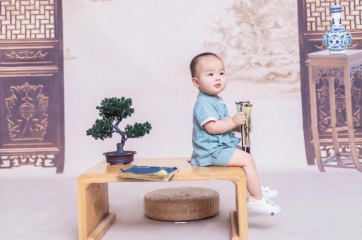 怒江可爱的企鹅宝宝